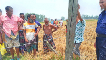 পিলার থেকে বিদ্যুতের তার ছিড়ে পড়ে নারীর মৃত্যু