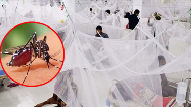 ডেঙ্গুতে আরও ৬ মৃত্যু, হাসপাতালে ৮৮২