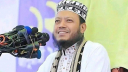 সংসদ নির্বাচনে মনোনয়ন পেলেন আমীর হামজা