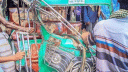 ময়মনসিংহে ট্রাক-অটোরিকশা সংঘর্ষ, নিহত ২