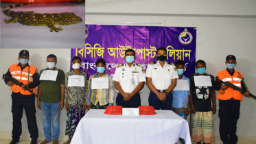 বিরল প্রজাতির তক্ষকসহ চোরাকারবারী আটক