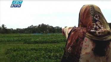 এবার স্কুলছাত্রীকে ধর্ষণ ও ভিডিও ধারণের অভিযোগ 