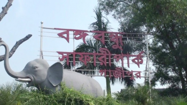 শর্তে সুন্দরবন ও সাফারি পার্ক ভ্রমণে অনুমতি (ভিডিও)