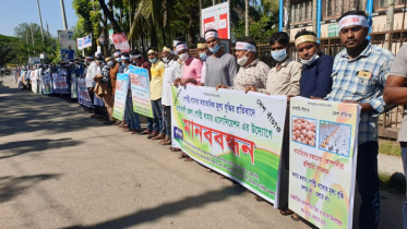 নোয়াখালীতে পোল্ট্রি খামারি-ব্যবসায়ীদের মানববন্ধন