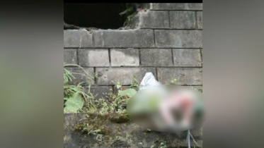 হাসপাতালের কার্নিশে নবজাতকের মরদেহ!