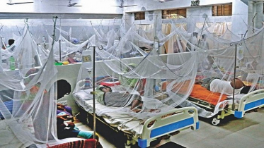 ডেঙ্গুতে একদিনে সর্বোচ্চ ৬ জনের মৃত্যু