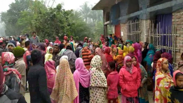 মেহেরপুরে ট্রাক্টর উল্টে চালক নিহত