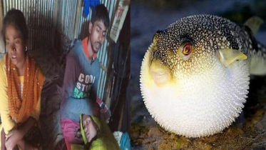 পটকা মাছ খেয়ে প্রাণ হারালেন বউ-শাশুড়ি