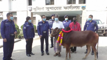তেলের ঘানি টানা প্রতিবন্ধী পরিবারকে গরু দিলেন পুলিশ সুপার