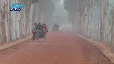 ঘন কুয়াশায় ব্যাহত জনজীবন (ভিডিও)