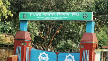 গাইবান্ধার আখ চাষি, শ্রমিক ও কর্মচারীরা দিশেহারা 