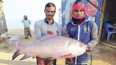 এক কেজি কাতলের দাম ১৭০০ টাকা