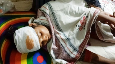 শেরপুরে পূর্বশত্রুতার জেরে হামলা, স্বামী-স্ত্রীসহ আহত ৪