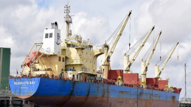 মোংলা বন্দর কর্তৃপক্ষের নির্দেশ মানে না শিপিং এজেন্ট?