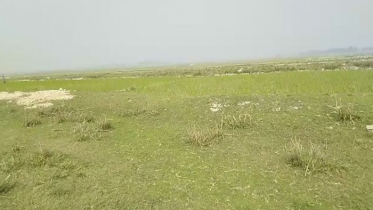 দিরাইয়ে সরকারি জায়গা ও কৃষকের জমি দখলের অভিযোগ 