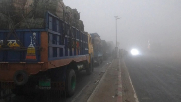 ঘন কুয়াশায় বন্ধ দৌলতদিয়া-পাটুরিয়ায় ফেরি চলাচল 