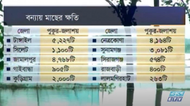 বন্যায় দশ জেলায় পুকুর ও মাছের খামার ক্ষতিগ্রস্ত (ভিডিও)