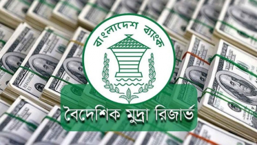 রিজার্ভ বেড়ে ২২ বিলিয়ন ডলার ছাড়াল
