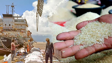 চাল রপ্তানিতে নতুন শর্ত আরোপ করলো ভারত