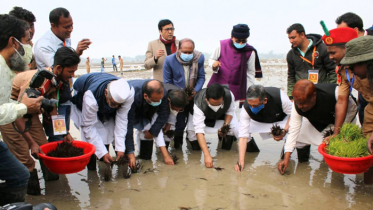 বিশ্বে সর্ববৃহৎ শস্যচিত্রে বঙ্গবন্ধু প্রতিকৃতি সৃষ্টির পদযাত্রা