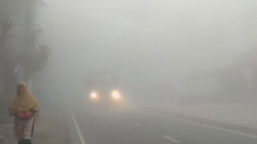 নড়াইলে তীব্র শীতে ব্যাহত জনজীবন