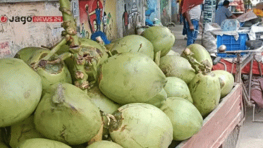 এক ডাবের দাম ২২০ টাকা, গরমে বাড়ছে ক্রেতার চাপ এক ডাবের দাম ২২০ টাকা, গরমে বাড়ছে ক্রেতার চাপ