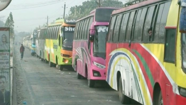 দৌলতদিয়ায় যানবাহনের দীর্ঘ সারি