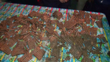 বাড়ির আঙ্গিনায় মিলল সাড়ে ৩ হাজার গুলি