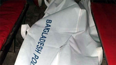 চুয়াডাঙ্গায় পাখি ভ্যান উল্টে যাত্রী নিহত