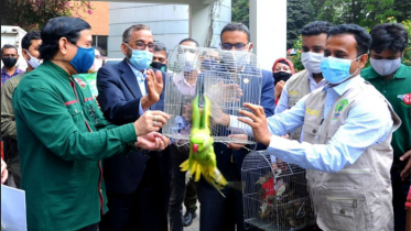 বেআইনিভাবে বসবাসরতদের বন থেকে বের হয়ে আসতে হবে: বনমন্ত্রী