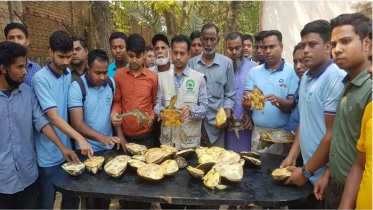 বগুড়া দুই কচ্ছপ বিক্রেতা আটক