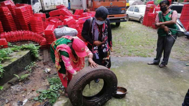 ডিএনসিসির ৬৭ স্থাপনায় লার্ভা, লক্ষাধিক টাকা জরিমানা