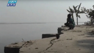 ব্রহ্মপুত্র নদের ভাঙনে অর্ধশতাধিক বসতবাড়ী বিলীন (ভিডিও)