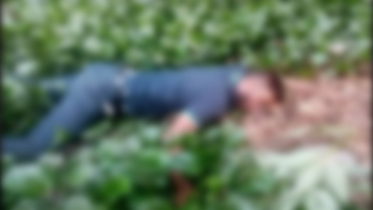 সোনারগাঁয়ে সেতুর নিচে যুবকের লাশ