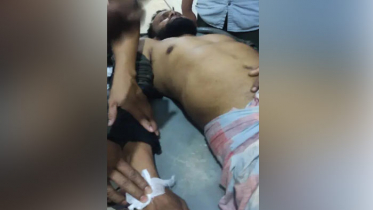 সাংবাদিকের উপর মামুনুল হক বাহিনীর হামলা, মারধর