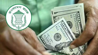 আগস্টের ২৩ দিনে রেমিট্যান্স এলো ১৭৪ কোটি ৮৬ লাখ ডলার