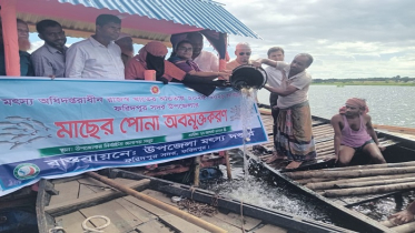 ফরিদপুরের চাপাইবিলে ২৪০ কেজি পোনা মাছ অবমুক্তকরণ: মৎস্য উৎপাদন বৃদ্ধিতে নতুন উদ্যোগ