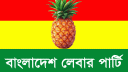 বিমানবন্দরের অব্যবস্থাপনা আড়াল করতেই আখতারুজ্জামানকে গ্রেপ্তার: ব