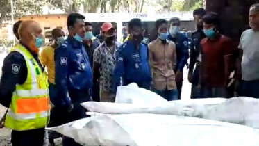 নাটোরে সড়ক দুর্ঘটনায় দুই মাদ্রাসা শিক্ষক নিহত