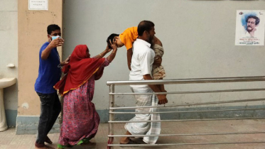 পাখির বাসায় হাত দিয়ে প্রাণ গেল শিশুর