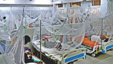 চলতি বছর ডেঙ্গুতে মৃত্যু ৪০ ছাড়াল