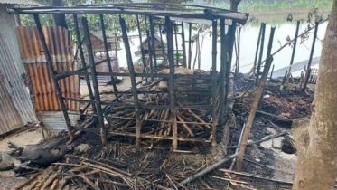 কুমারখালীতে আগুনে পুড়ল দিনমজুরের ৬ গবাদি পশু
