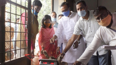 কুড়িগ্রামে ধানের মূল্য কেজিতে ২৭, গম ২৮ টাকা নির্ধারণ