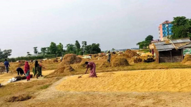 স্বপ্ন পূরণ হাওরপাড়ের কৃষাণ-কৃষাণীর