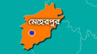 মুজিবনগরে ট্রাকের ধাক্কায় গৃহবধূ নিহত