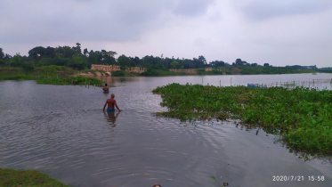 বাঁশের সেতু কোমর পানির নিচে: দূর্ভোগে ৯ গ্রামের মানুষ