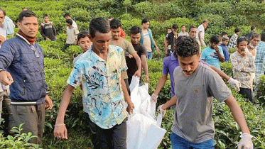 মৌলভীবাজারে যুবক-যুবতীর ঝুলন্ত মরদেহ উদ্ধার মৌলভীবাজারে যুবক-যুবতীর ঝুলন্ত মরদেহ উদ্ধার