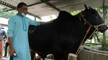 ১৫ লাখে বিক্রি করতে চান বীর বাহাদুরকে