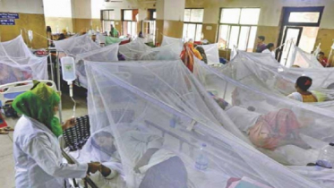 ডেঙ্গুতে ২৪ ঘণ্টায় ৫ জনের মৃত্যু