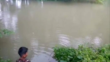 খালে মিললো নবজাতকের মরদেহ